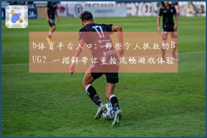 b体育平台入口：那些令人抓狂的BUG？一招鲜带你重拾流畅游戏体验！