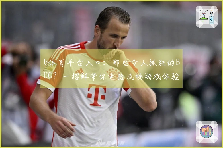 b体育平台入口：那些令人抓狂的BUG？一招鲜带你重拾流畅游戏体验！